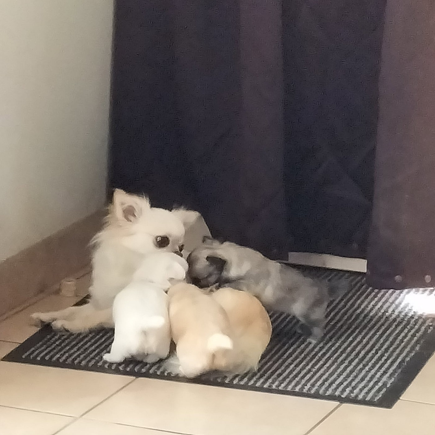 Bb Ubelle et Atlanta